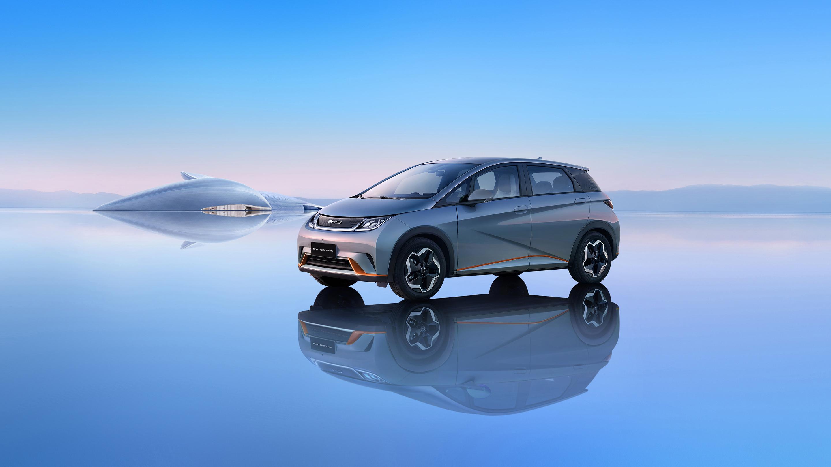 BYD DOLPHIN BANNER 1